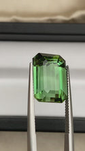 Load and play video in Gallery viewer, Green Tourmaline - 15.43cts /Octagon
