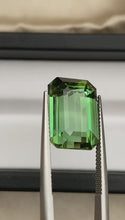Load and play video in Gallery viewer, Green Tourmaline - 15.43cts /Octagon
